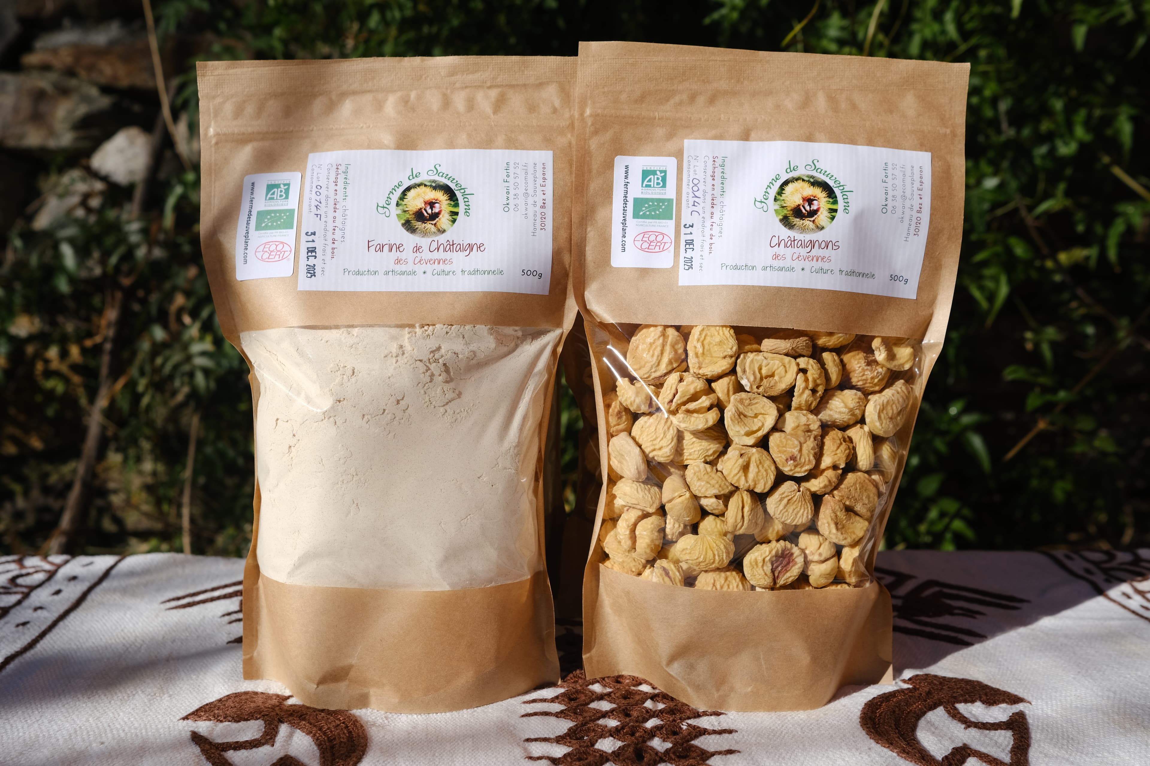 Lot "salé" : Farine de châtaigne Bio & Châtaignons Bio