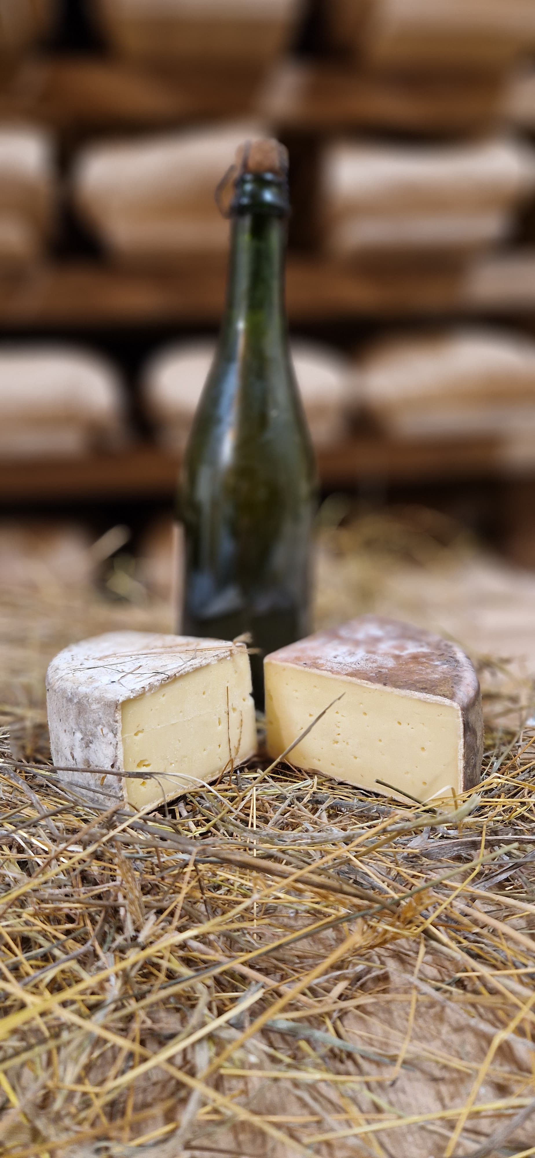 Duo Tomme bigout Bio – Foin & Cidre