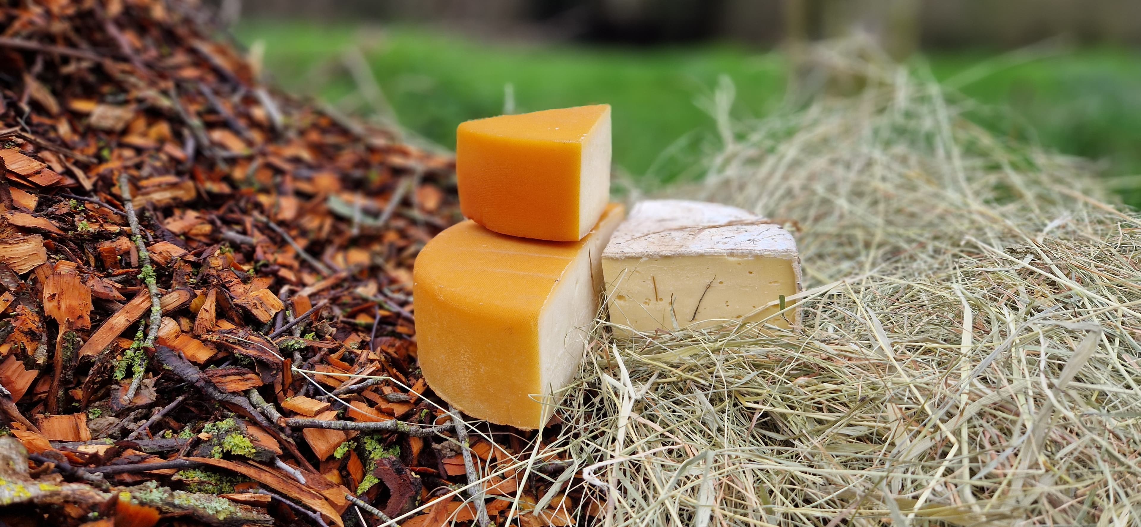 Duo Tomme bigout Bio - Foin & Fumée