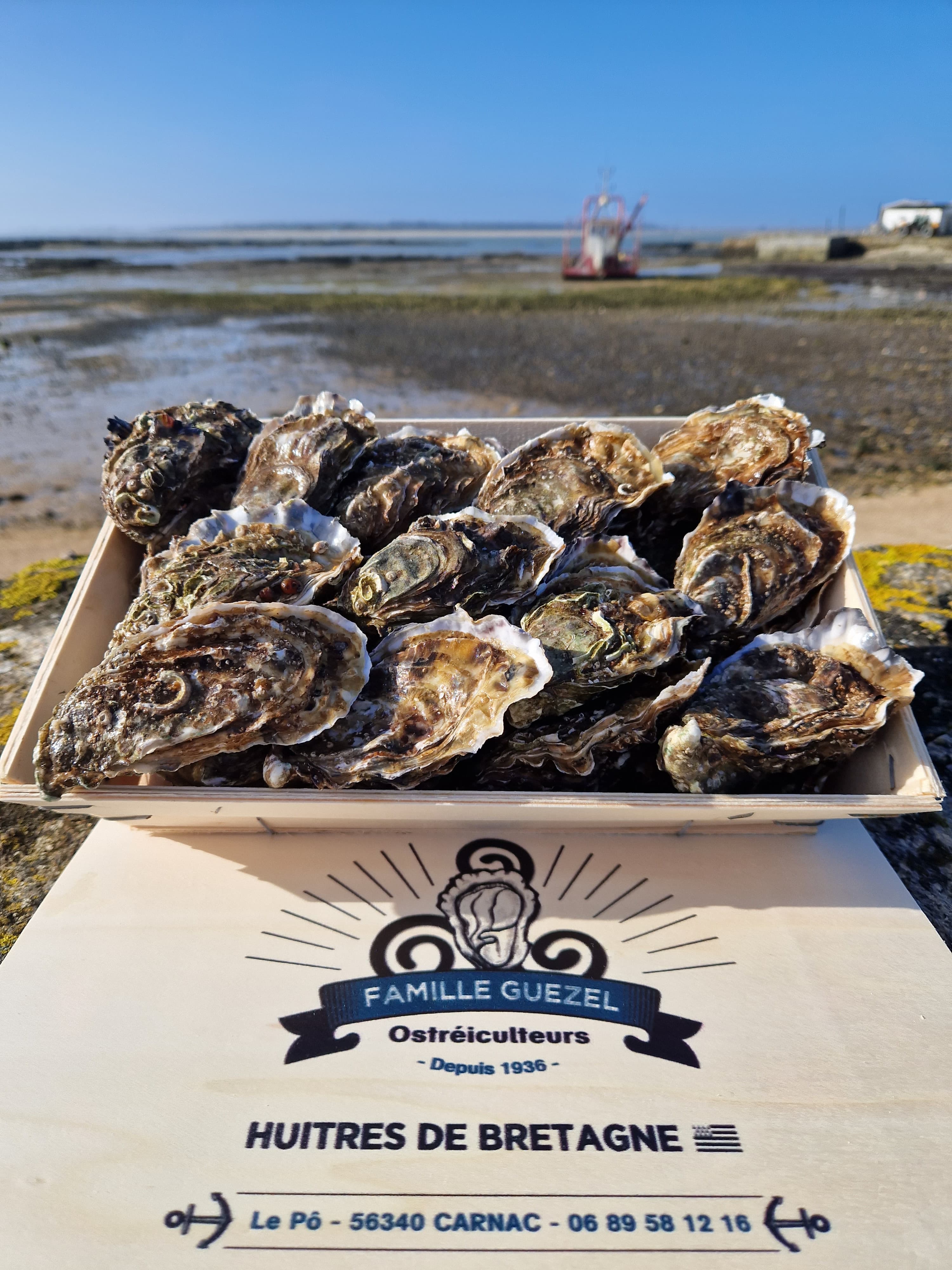Huîtres creuses bretonne de la Baie de Quiberon N3x36