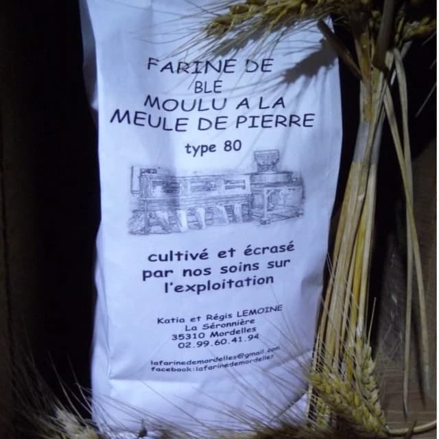 Farine de blé - Type 80