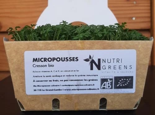 Micro pousses de cresson Alénois Bio 4 barquettes