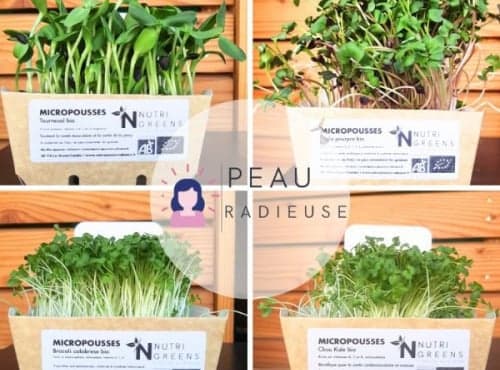Micro pousses Pack Peau radieuse (bourrache, radis, brocoli, kale) 4 barquettes
